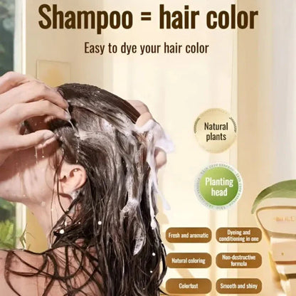 [ETONIA] Japanese Long Lasting Natural Hair Dye Shampoo