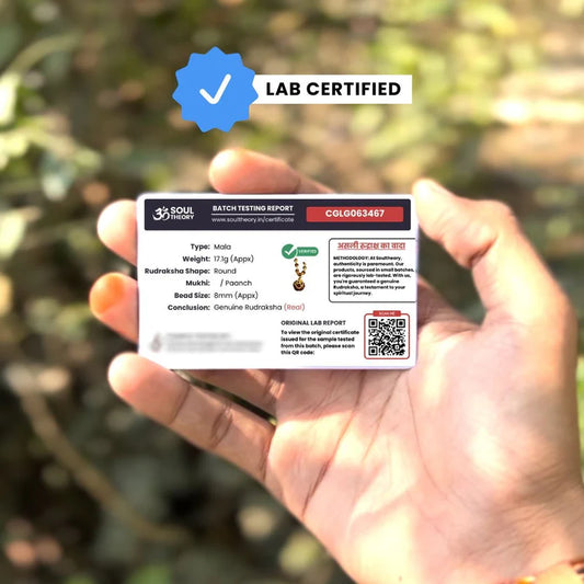 7 Mukhi Rudraksha Necklace Om Shree Design Gold Plated Original Nepali